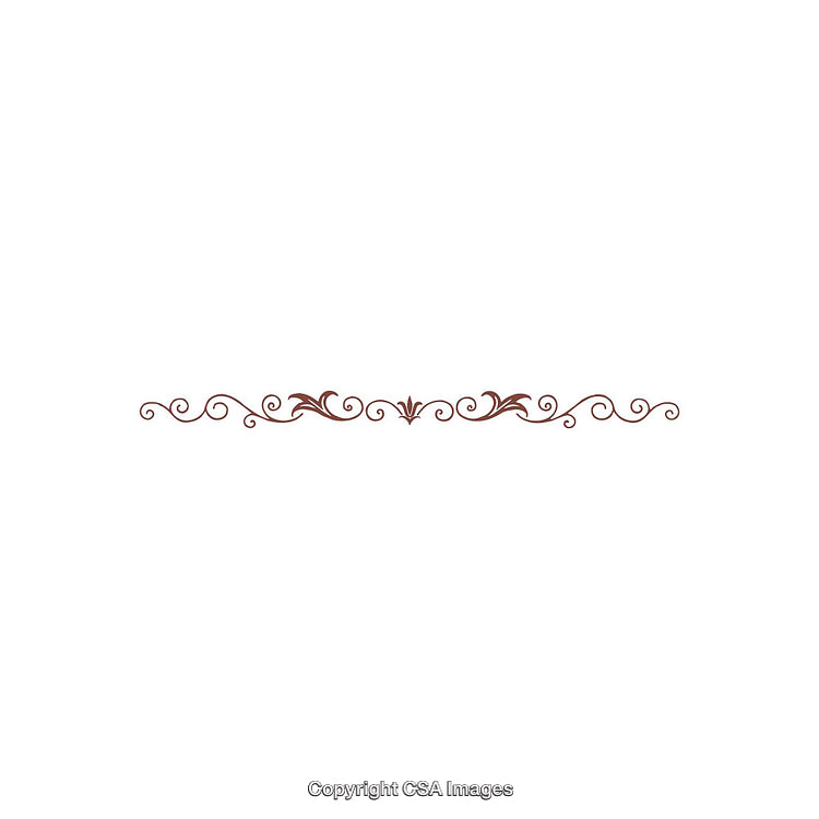 Elegant Brown Decorative Floral Divider With Swirls and Curves on White Background