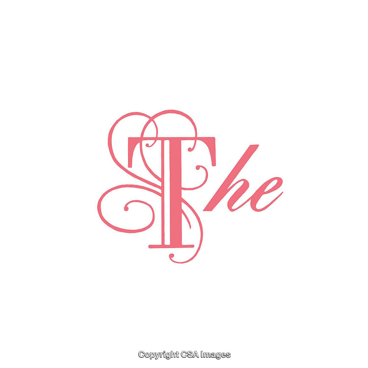 Elegant Pink Letter Design with Decorative Elements on White Background