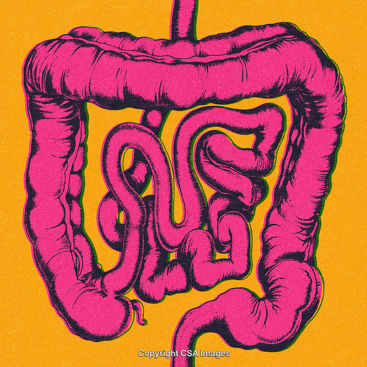 Vivid Artwork Illustrating Human Intestines on a Vibrant Background