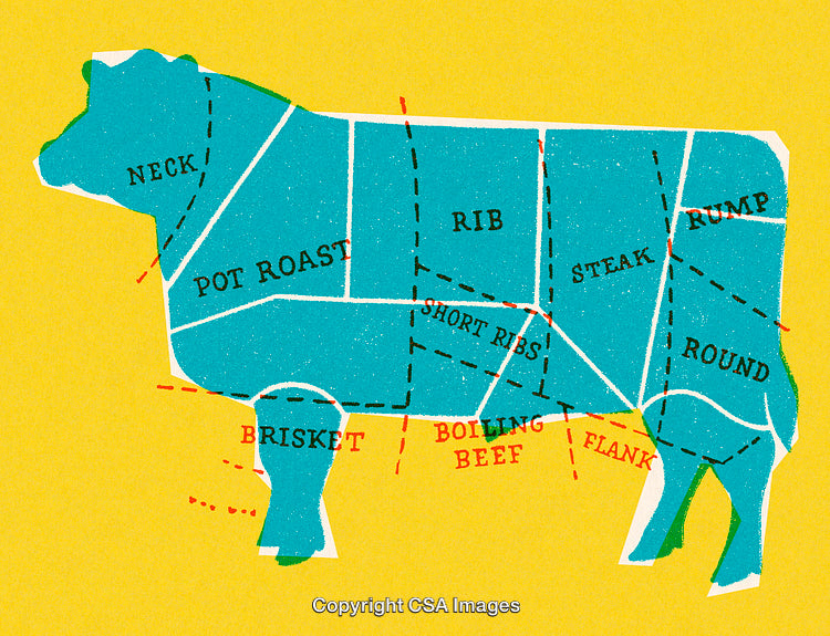 Colorful Butcher Diagram of Beef Cuts with Labels on a Yellow Background