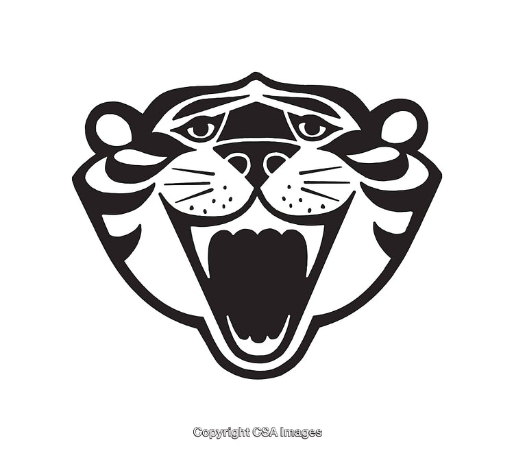 Bold Black and White Line Art Tiger Head Illustration