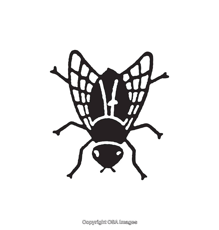 Black and White Line Art Illustration of a Simplified Fly