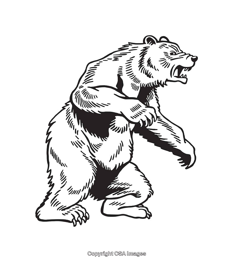 Black And White Line Art of a Standing Bear Showcasing Ferocity