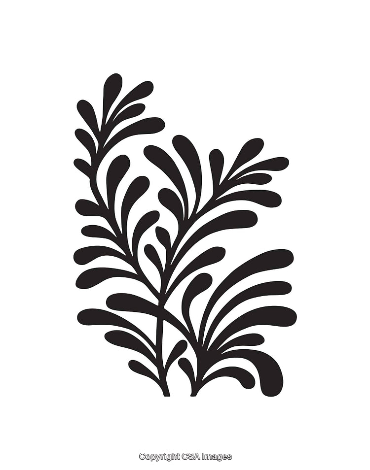 Black and White Botanical Illustration With Simple Line Art Design
