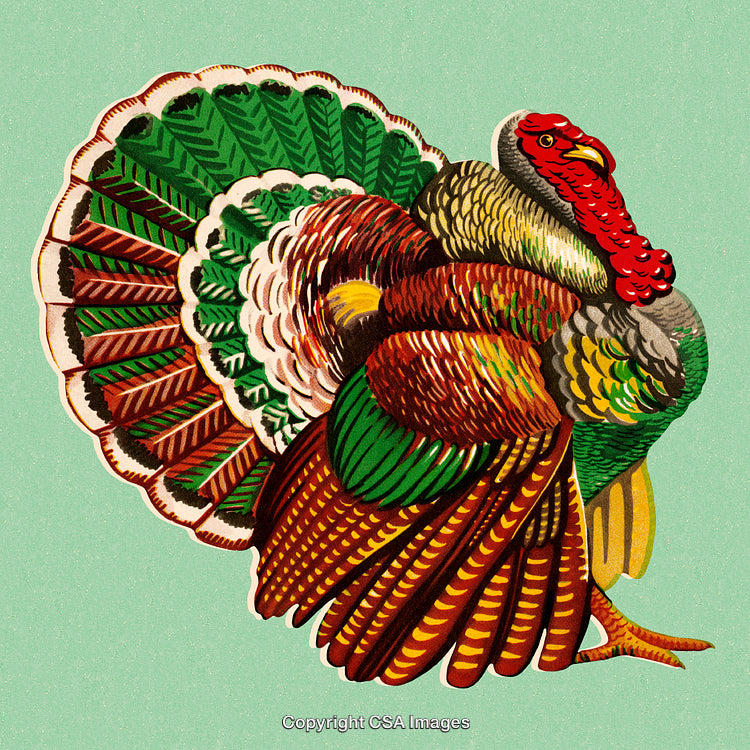 Colorful Turkey Illustration with Vibrant Feathers on a Green Background
