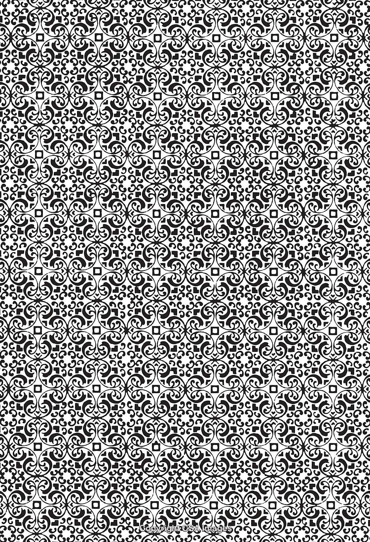 Intricate Black and White Pattern With Symmetrical Geometric Motifs