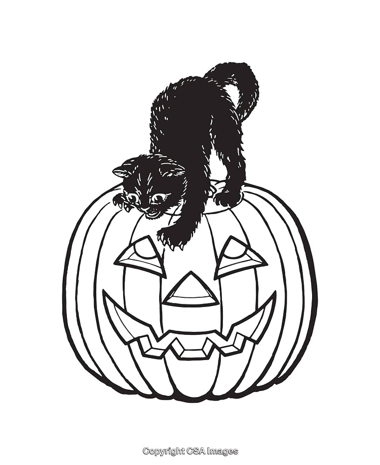 Black Cat Perched on a Jack-O'-Lantern Halloween Illustration
