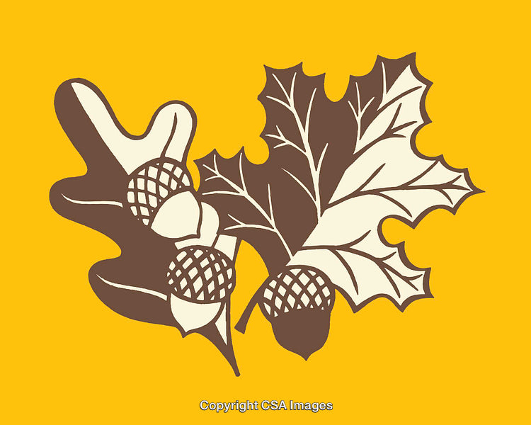 Vintage Oak Leaf and Acorn Illustration in Rustic Earth Tones