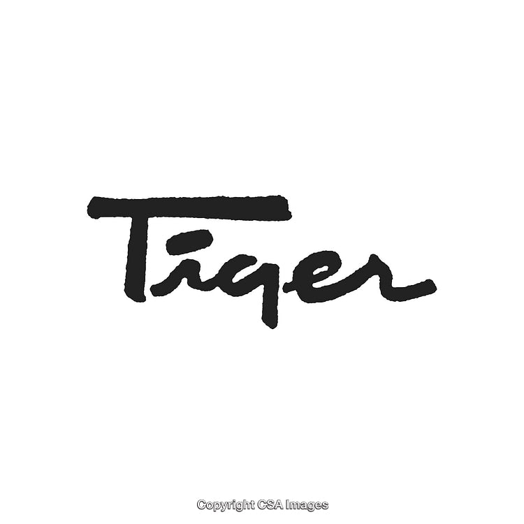 Tiger Handwritten Text in Bold Black Font on White Background