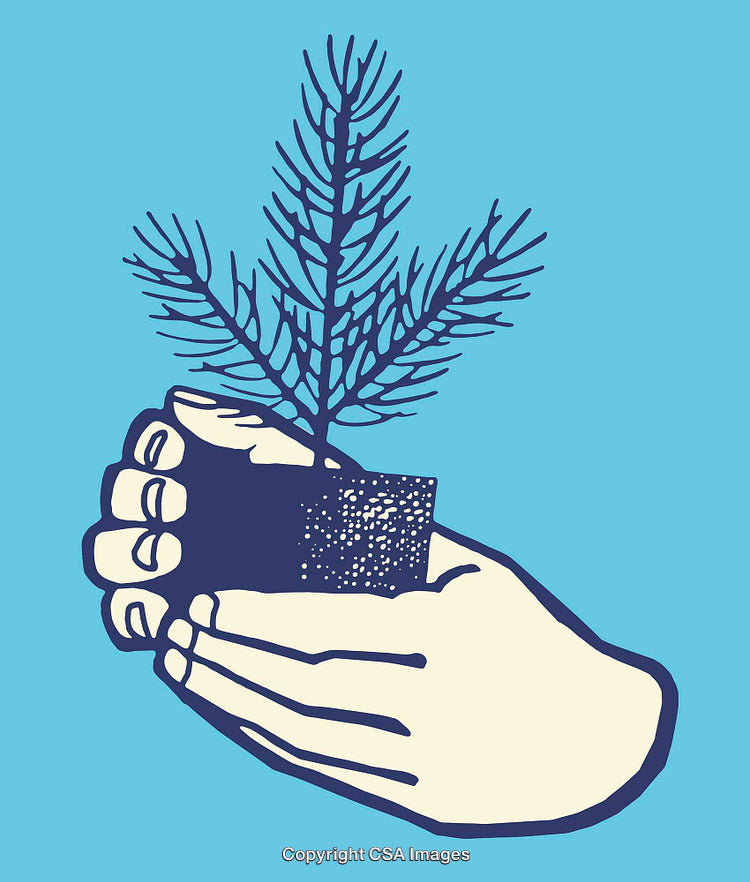 Illustrated Hands Holding a Small Tree Sapling on Blue Background