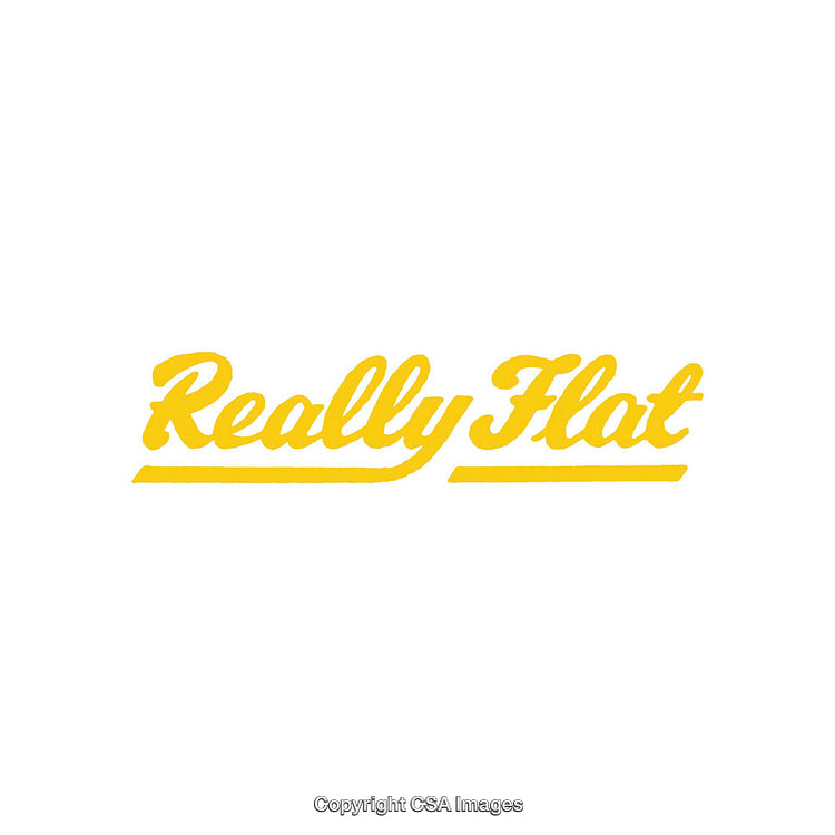 Yellow Script Text Featuring 'Really Flat' on White Background
