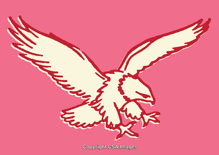 Vibrant Line Art Illustration of an Eagle on a Pink Background