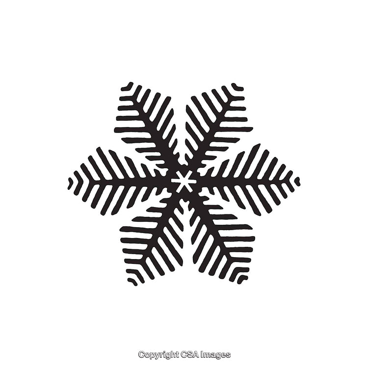 Black and White Symmetrical Winter Snowflake Shape Design