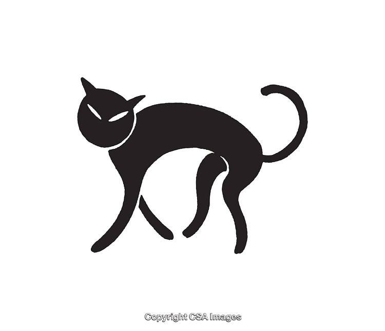 Silhouette Of an Alert Black Cat in a Suspicious Pose