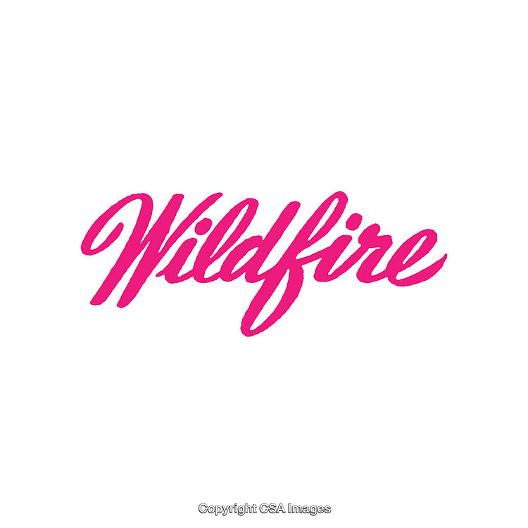 Bold Modern Typography Design Featuring the Word Wildfire in Pink Script