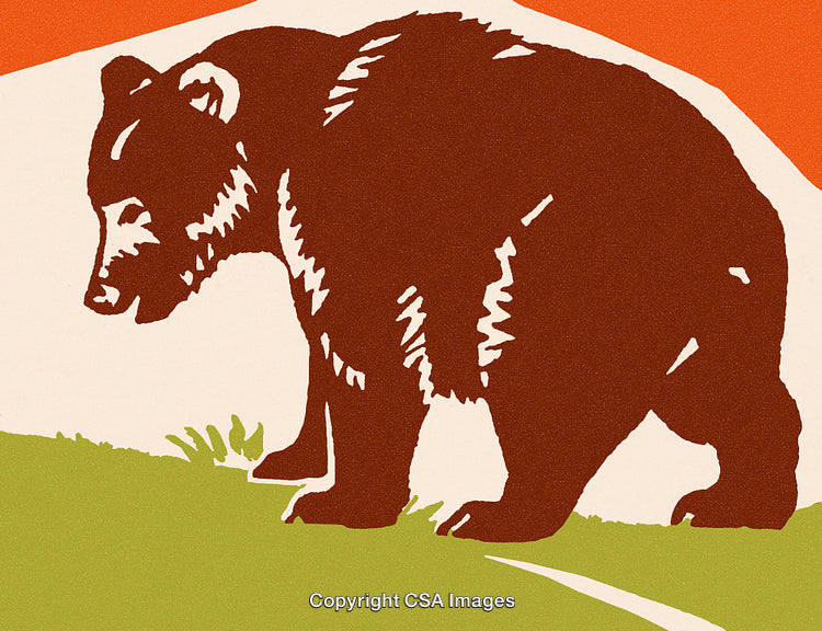 Rustic Illustration of a Bear in Natural Environment with Vibrant Vintage Aesthetic