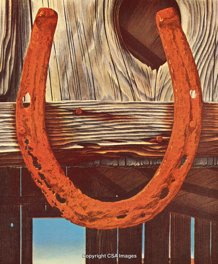 Weathered Horseshoe Mounted on Rustic Wooden Plank Against Blue Sky Background