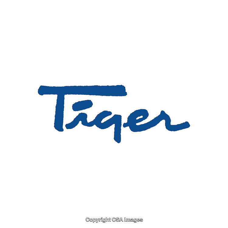 Blue Handwritten Tiger Text Logo on White Background