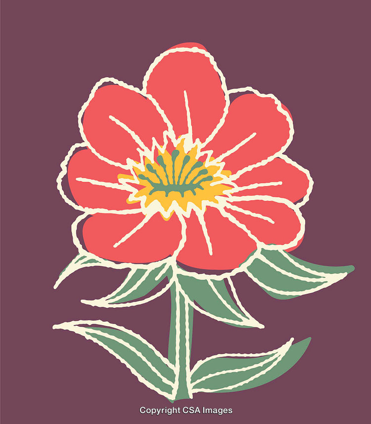 Hand-Drawn Vibrant Flower Illustration with Artistic Style on a Colorful Background