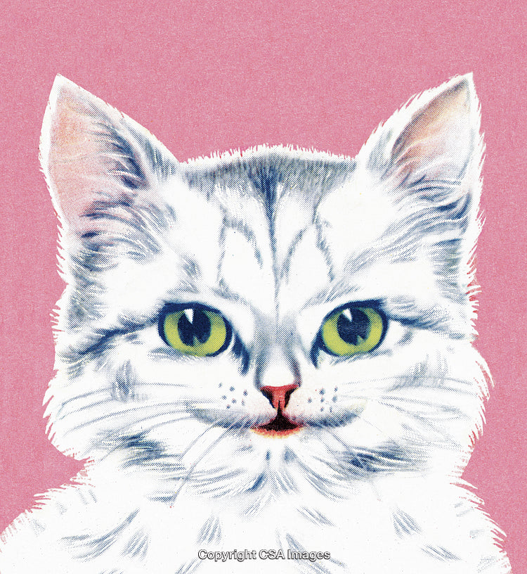Adorable White Cat Portrait on a Pink Background