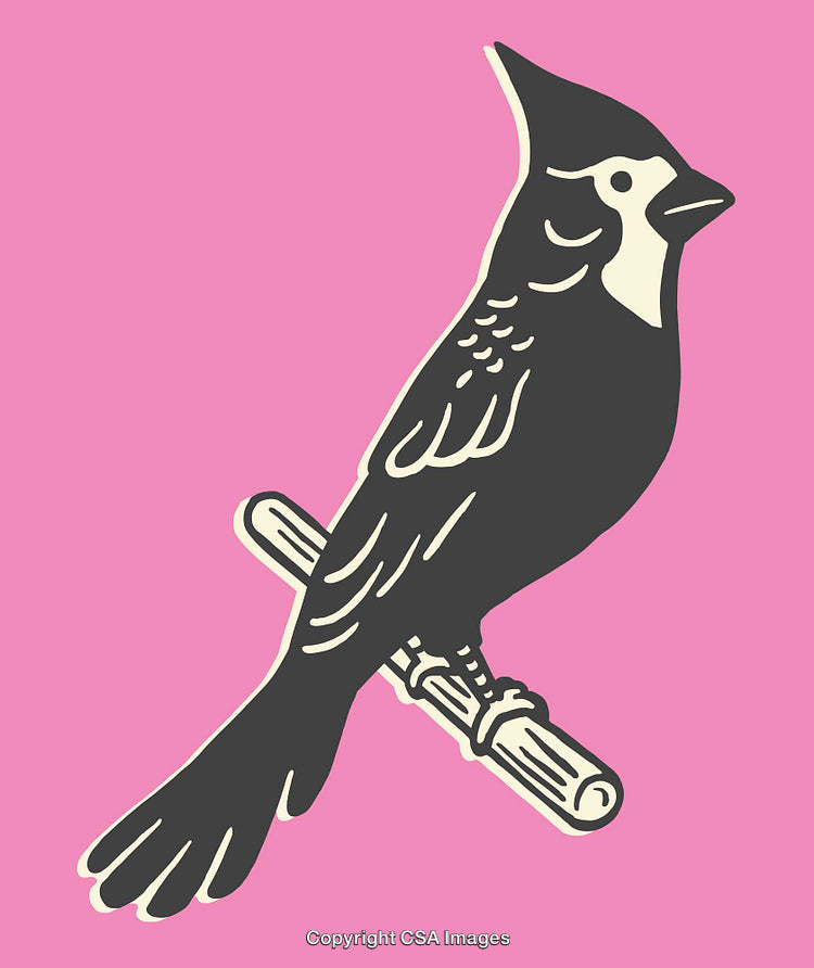 Stylized Bird Illustration on a Vibrant Pink Background