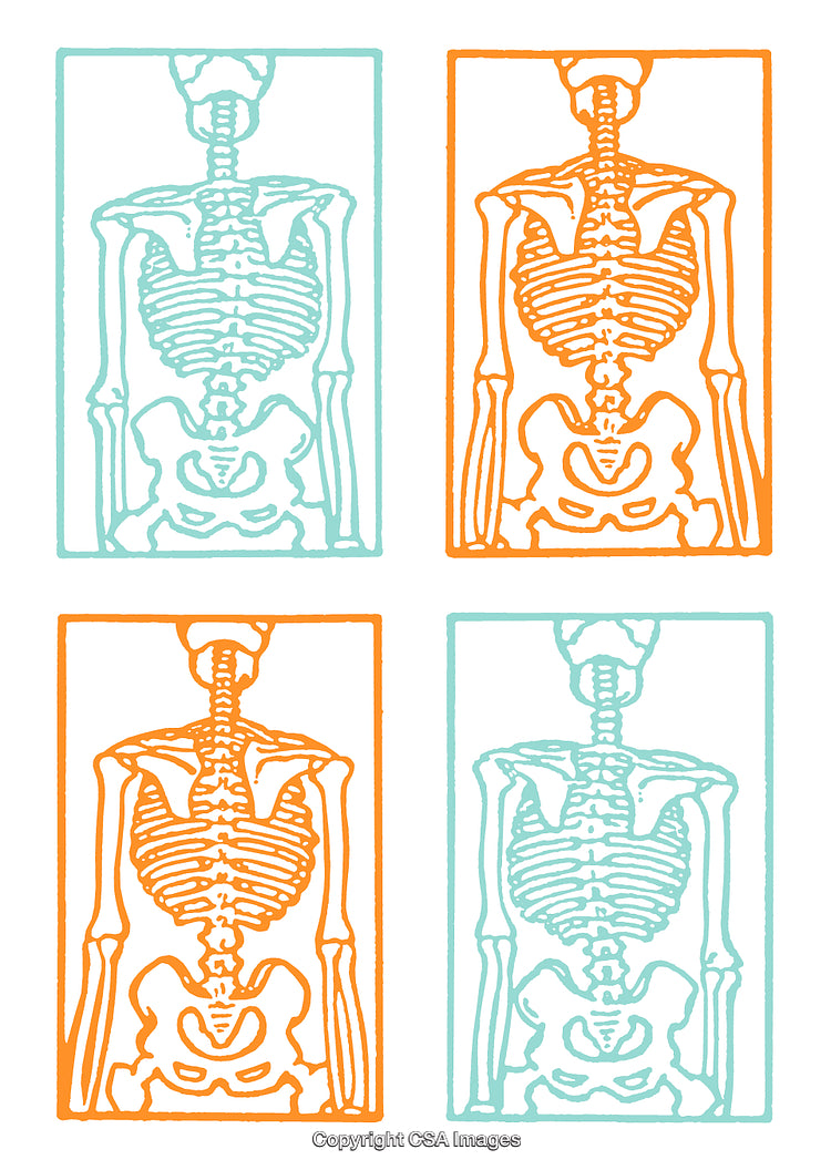 Colorful Illustrated Skeletons in Retro Design Style, Arranged in a Grid Layout