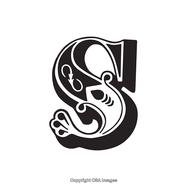 Decorative Black And White Illustrated Letter S With Ornate Details