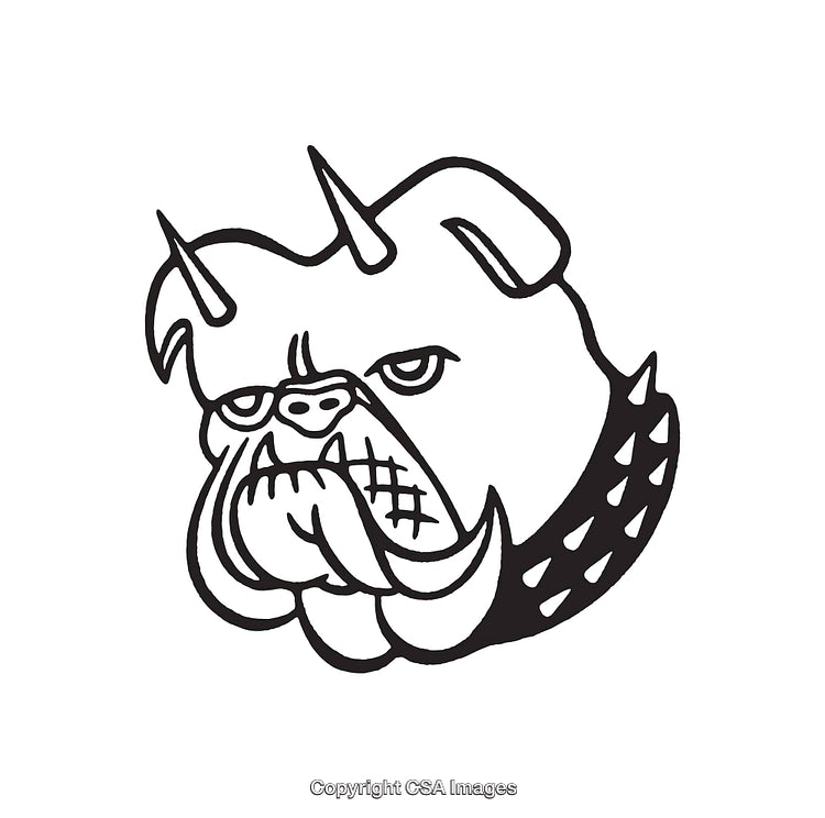 Fierce Bulldog Illustration with Spiked Collar in Black and White Line Art