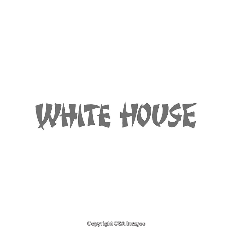 Stylized Text Design of 'White House' in Bold Font Style