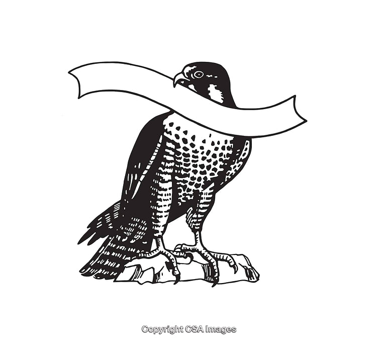 Black and White Line Art Illustration of a Falcon with Banner