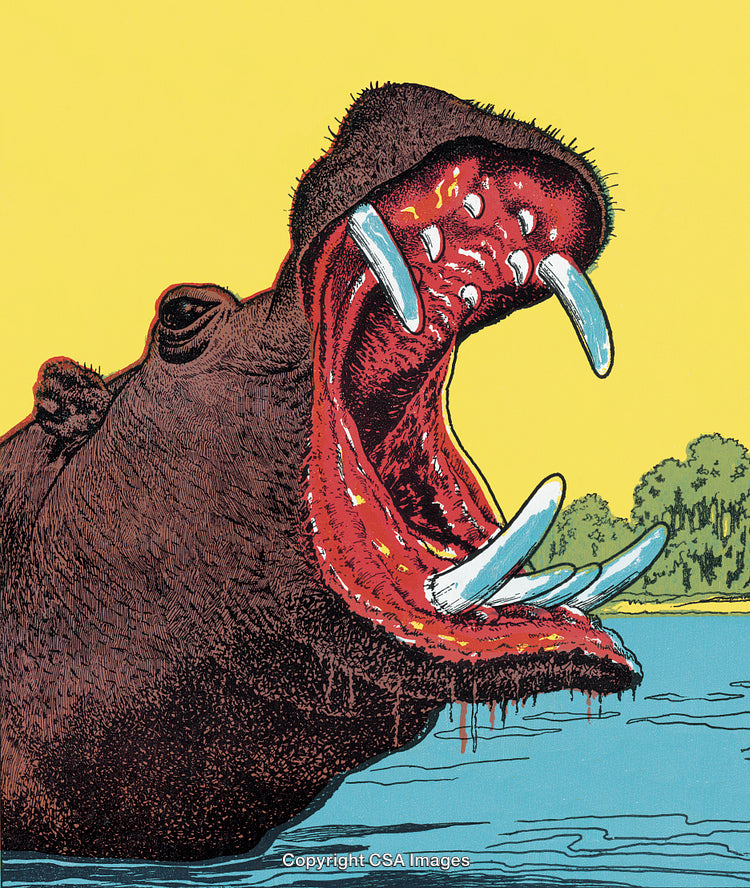 Illustration of a Hippopotamus with Open Mouth in Vibrant Colors