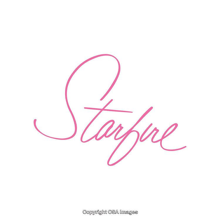 Elegant Pink Cursive Script Branding Style on White Background