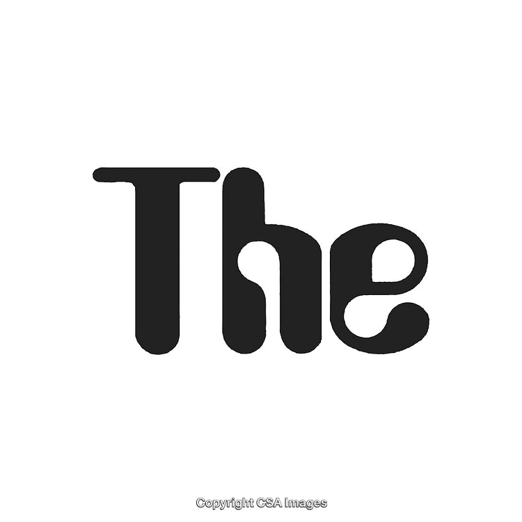 Black Word 'The' in Stylish Font on a White Background