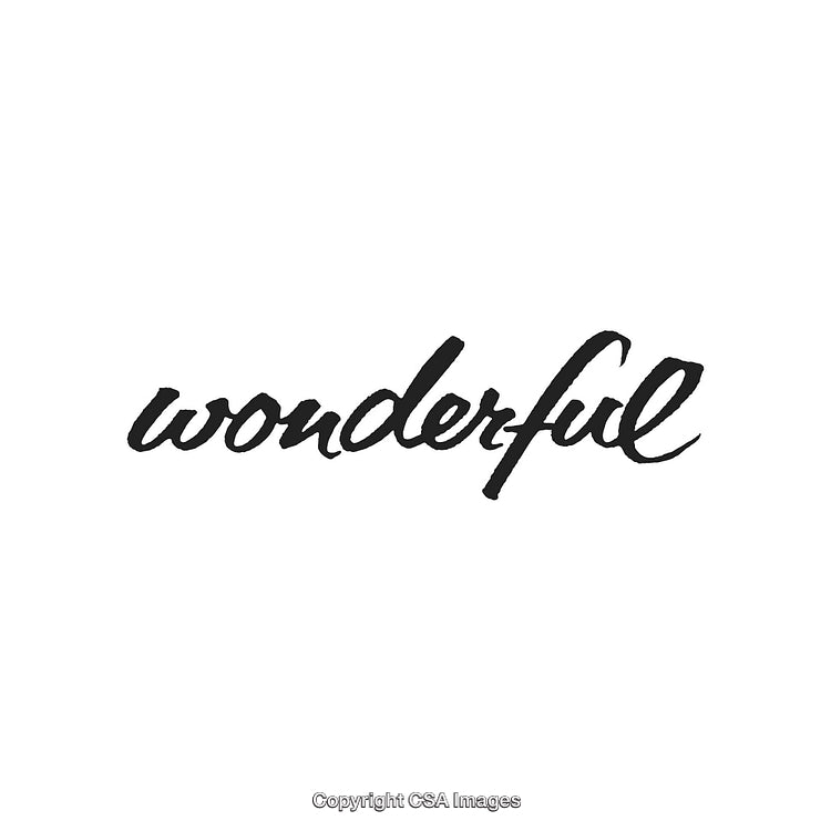 Wonderful Handwritten Word Displayed in Stylish Black Calligraphy on White Background