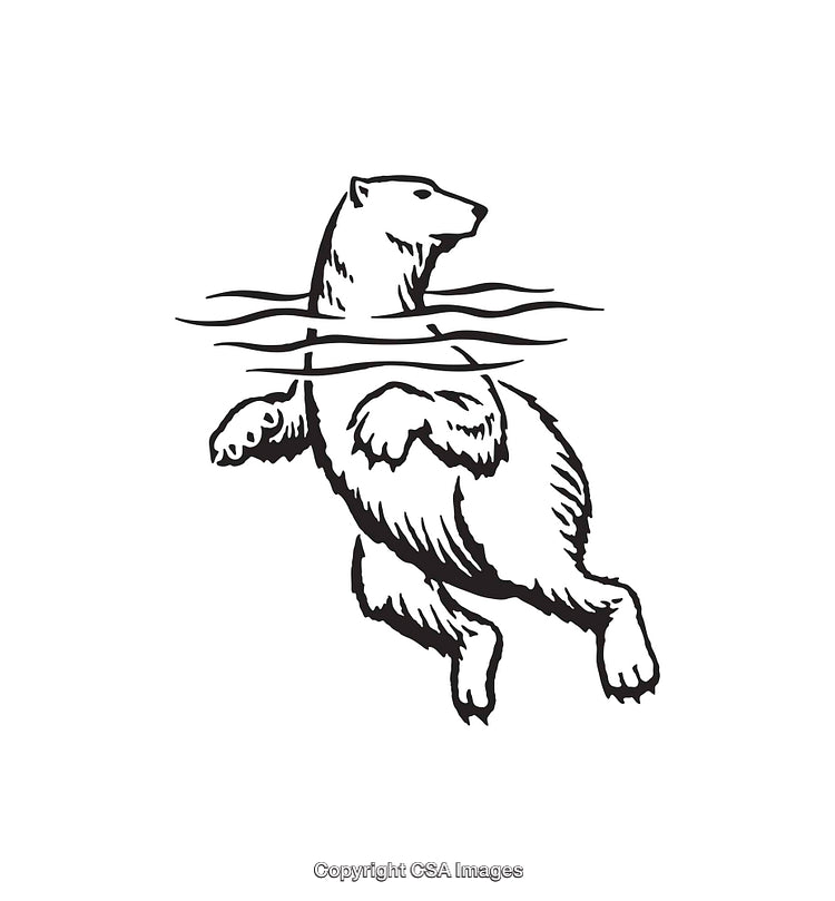 Illustration of a Polar Bear Swimming Underwater in Black and White Line Art