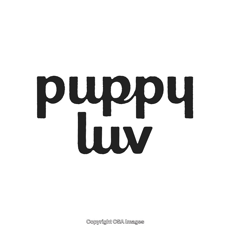 Playful Font Featuring Fun Typography Reading 'Puppy Luv' in Bold Black Letters