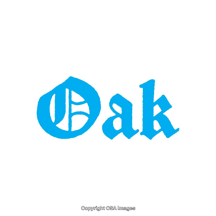 Blue Stylized Oak Text in Unique Typography Design