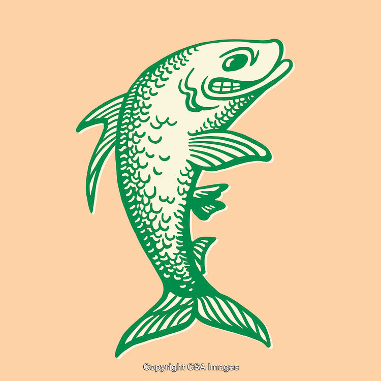 Green Line Art Illustration of a Fish on a Solid Peach Background