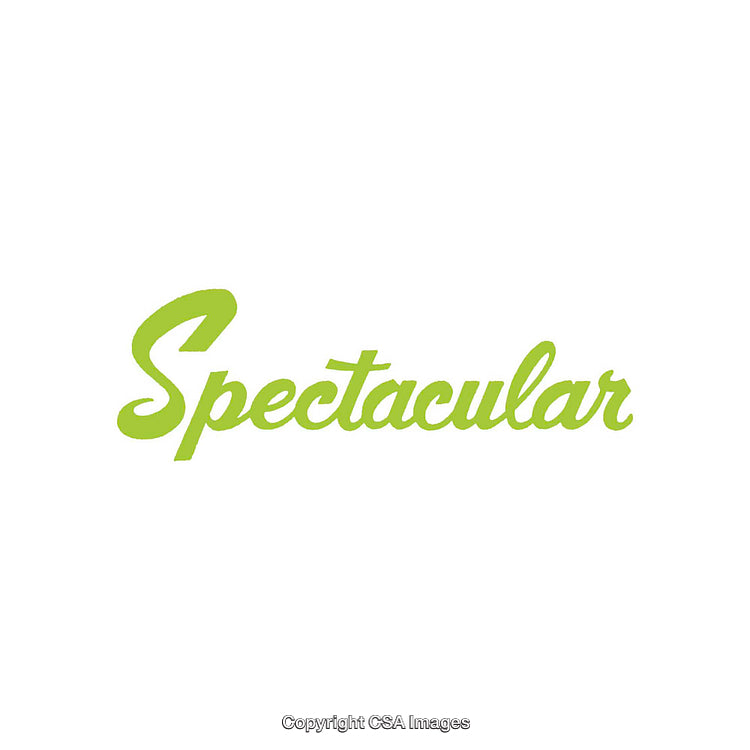 Green Spectacular Word Text on a White Background with Elegant Font