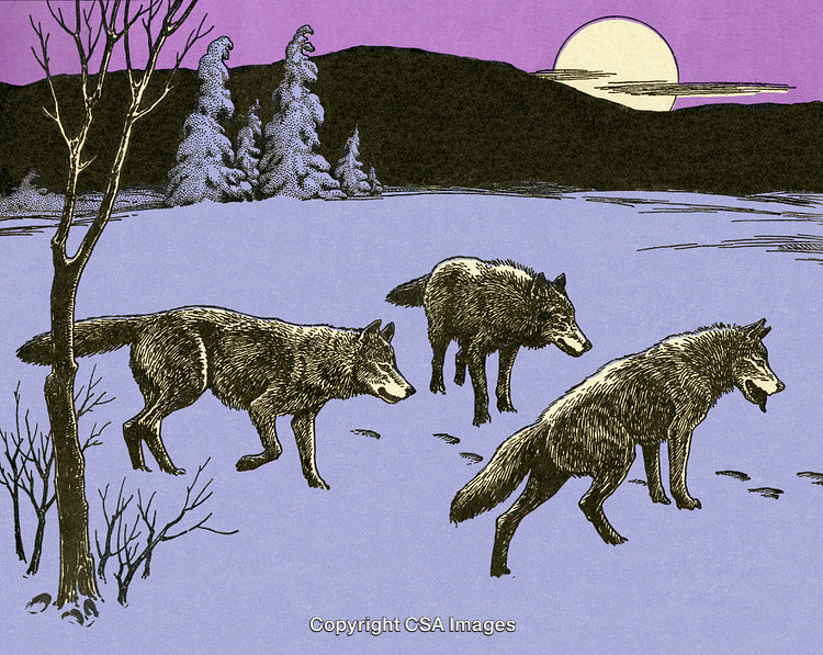 Illustration of Wolves in a Snowy Landscape Under a Purple Sky
