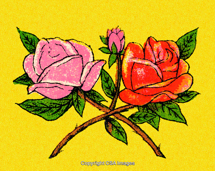 Two Vibrant Roses with Green Leaves on a Bright Yellow Background