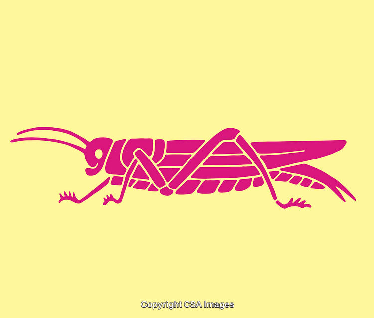 Colorful Line Art Illustration of a Grasshopper on Yellow Background