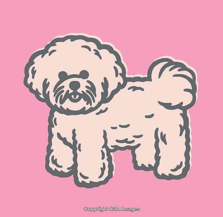 Adorable Cartoon Drawing of Fluffy Dog on Pink Background