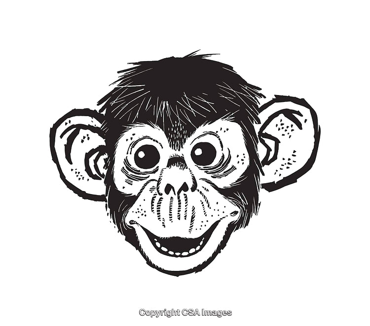 Black and White Line Art of a Detailed Monkey Face Illustration