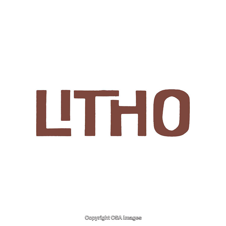 Bold Typography Featuring the Word 'Litho' in Earthy Brown Hue