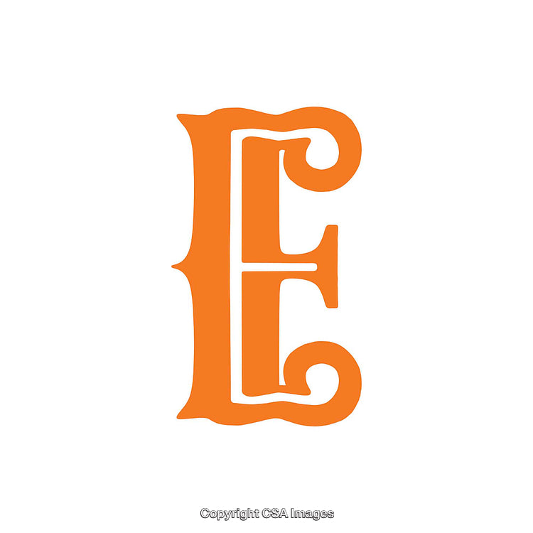 Ornate Decorative Letter E in Bold Orange Color Design