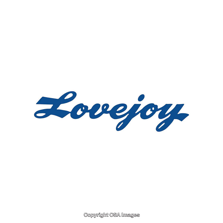 Stylized Blue Lovejoy Lettering on a Minimal White Background