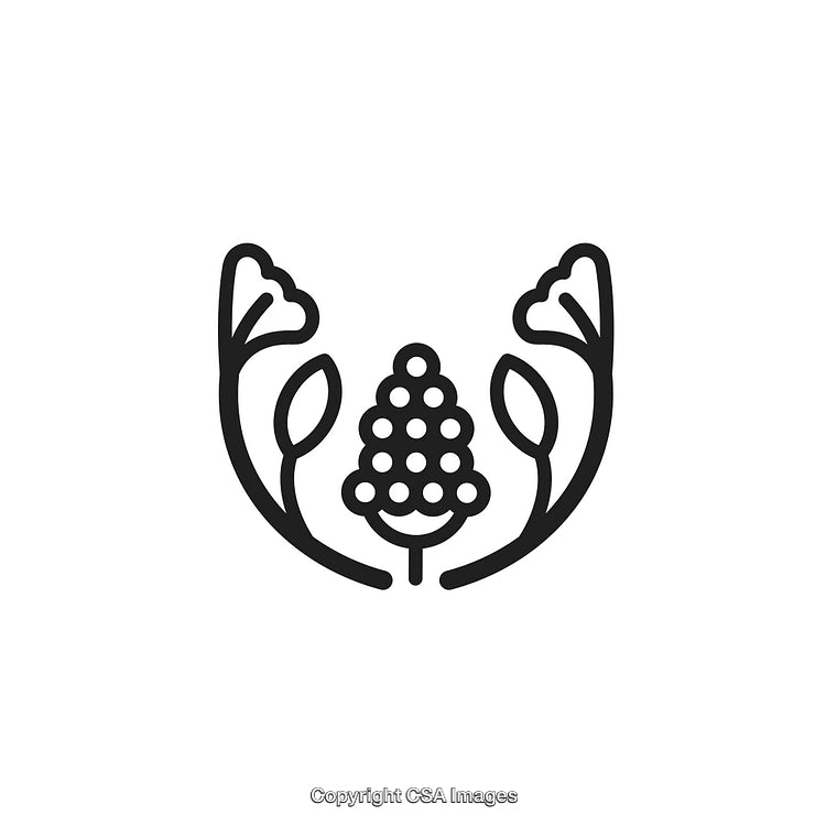 Decorative Ornamental Design Featuring Floral and Geometric Elements
