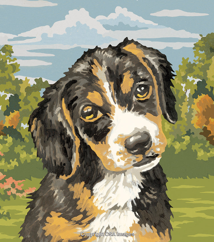 Paint by Number Illustration of a Puppy in an Outdoor Scenic Background