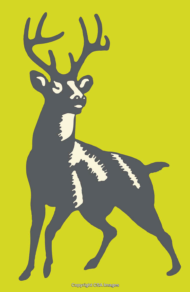 Stylized Graphic Illustration of a Deer Silhouette with Bold Color Contrast